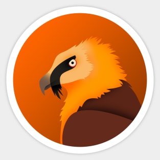 Bearded Vulture Sticker